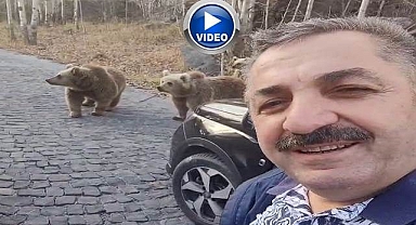 Erzurumlu esnafın ayılarla sohbeti kırdı geçirdi!