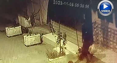 Et hırsızı görenleri şok etti!