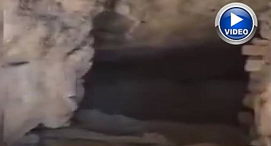 Hainlerin inlerine girildi!