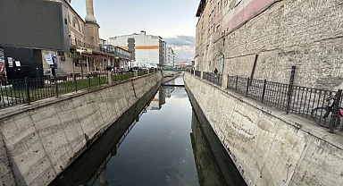 Islah çalışmaları işe yaradı, popülasyon arttı 