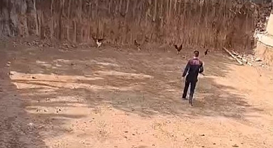 İtfaiyeden 'tavuk kurtarma' operasyonu