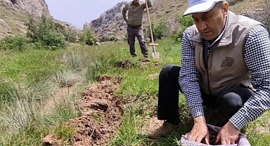 Kaçak topladı, yediği ceza dudak uçuklattı!