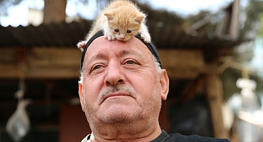 Kedi sevgisi müteahhitlerin tekliflerine