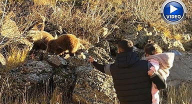Kendilerini ve çocuklarını bile bile tehlikeye atttılar!