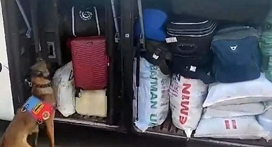 Yolcu otobüsünden bakın ne çıktı!