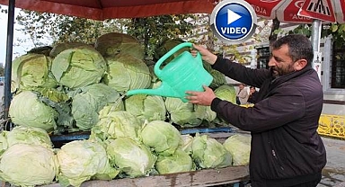 Organik lahanalar tezgahlarda...
