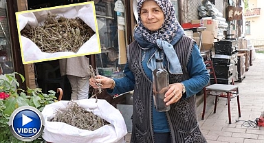 Ormandan gelen şifa suyu
