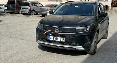 Otomobile giren yılan bakın nasıl çıkarıldı