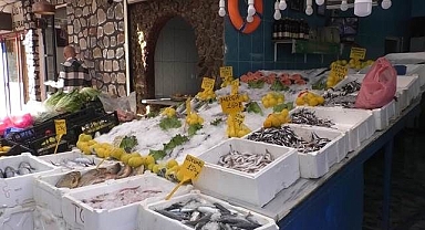 Palamut yok, hamsi var!