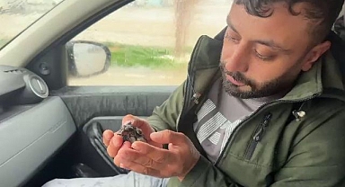  Sel sularında çırpınıyordu.. Gazeteci kurtardı!