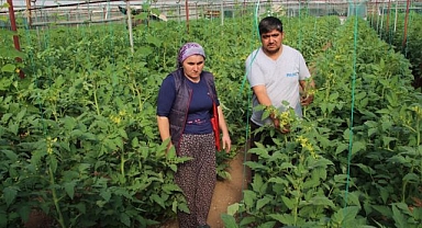 Serasına ilaç atıp fidanlarına zarar verdiler