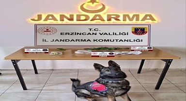 Suçlulara göz açtırmıyorlar!