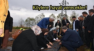 Tarıma kadın eli
