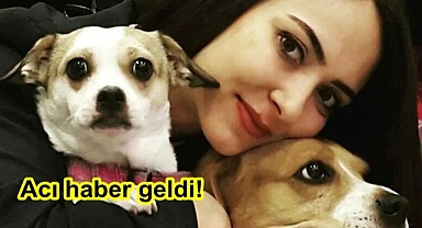 Telefonlara cevap vermeyince acı gerçek ortaya çıktı!