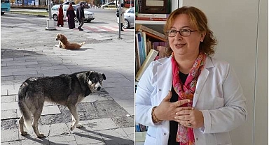 Ürküten rakamlar!