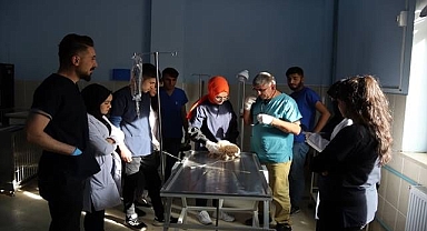 Veterinerlik öğrencilerine büyük imkan