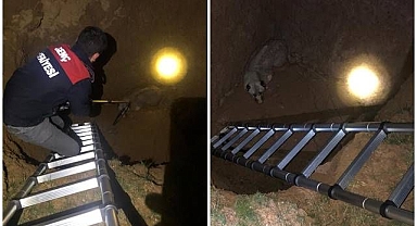 3 metrelik çukura düştü! Yardımına itfaiye yetişti