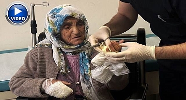 Yaşlı kadına köpekler saldırdı!