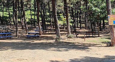 OLTU ORMAN İŞLETME MÜDÜRLÜĞÜ İHALE İLANI