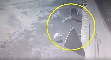 Aç kalınca köpeği götürdü!