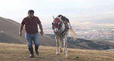 Atın kitabını yazdılar