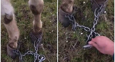 Ayaklarından zincirleyip ölüme terk ettiler