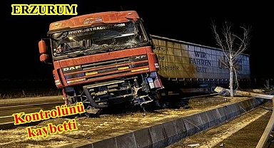 Aydınlatma direğine daldı!