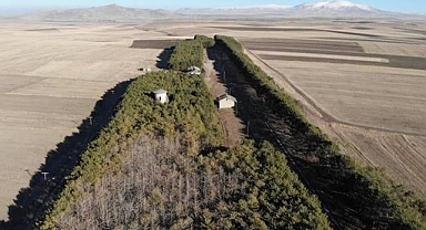 Bozkırın ortasındaki vaha bakım bekliyor
