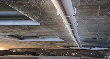 Cani annenin yaptığı kan dondurdu!