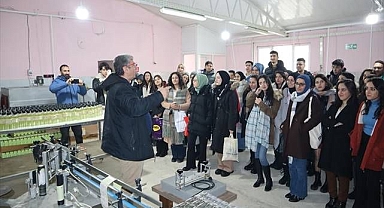 Eczacılar burada tecrübe kazanıyor