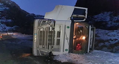 Erzurum'da virajı alamayan tır devrildi