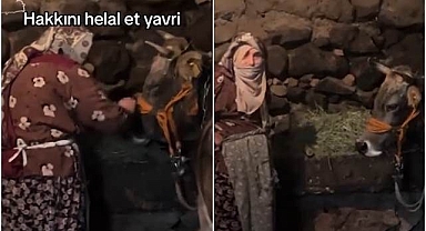Erzurumlu Nazmiye teyzenin vedası herkesi ağlattı!