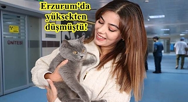 Felç kalmaktan kurtarıldı