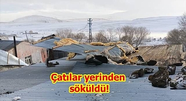 Fırtına yıktı, geçti...