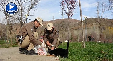 HAYDİ ekipleri can dostlarını unutmuyor