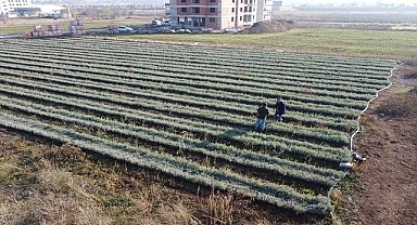 Hobi amaçlı üretti, ünü ülkeleri aştı!