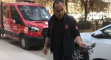 İmdadına itfaiye yetişti!