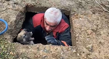 Kuyuya düştü, yardımına itfaiye yetişti!