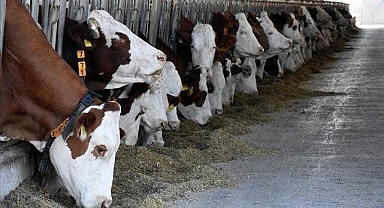 Narman'dan milyonluk satış!