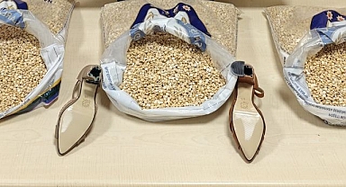 Şeytanın aklına gelmeyecek yöntem! Öyle bir yerden çıktılar ki