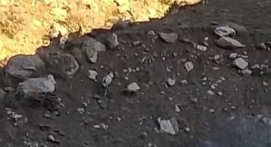 Sürü halinde görüldüler