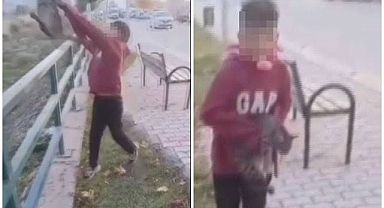 TikTok'ta paylaşmak için cana kıydılar!