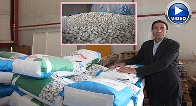 Tohumluk üretiminde Türkiye'de ilk sırada