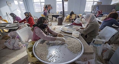 Üretken kadınların kuru fasulye mesaisi!