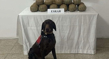 38 kilogram toz esrar ele geçirildi 