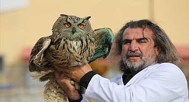 500'e yakın yaban hayvanı kurtarıldı