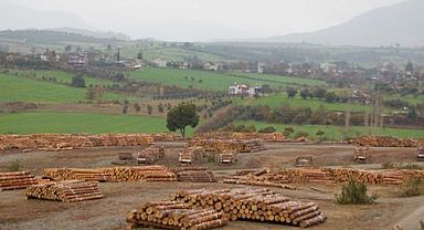 ORMAN DEPOLARINDA İSTİFLEME HİZMETİ