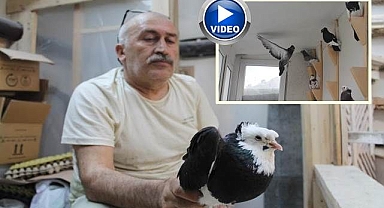 Asırlardır bu ötüşü dinliyorlar