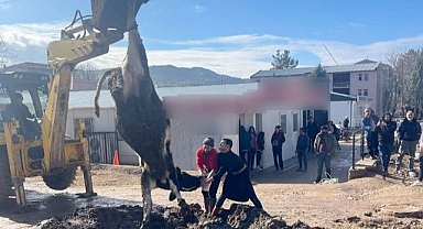 Banka müdürünün tayinine tosunlu kutlama