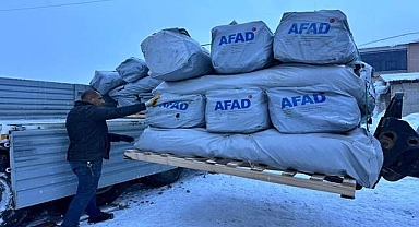 Çadır ve konteyner sevkiyatı başladı
